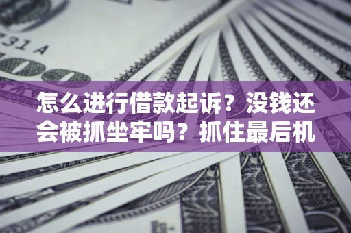 北京怎么进行借款起诉？没钱还会被抓坐牢吗？抓住最后机会！