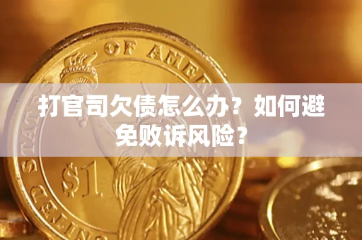 北京打官司欠债怎么办？如何避免败诉风险？